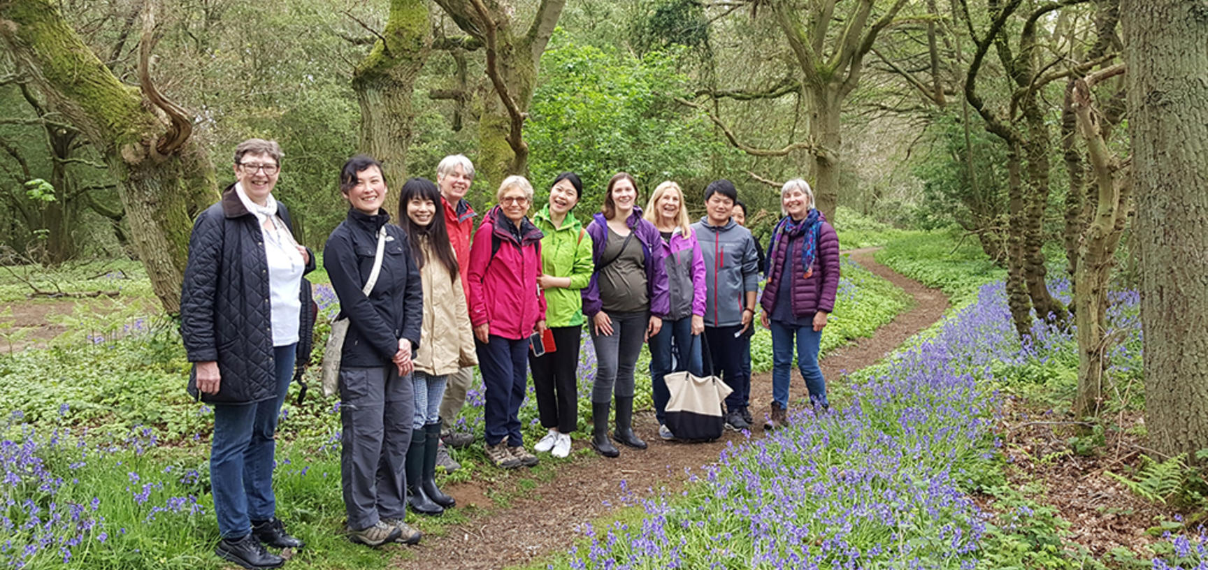 bluebell walk