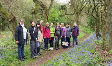 bluebell walk