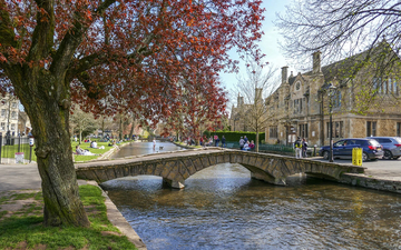 A bridge over a stream with a tree in autumn