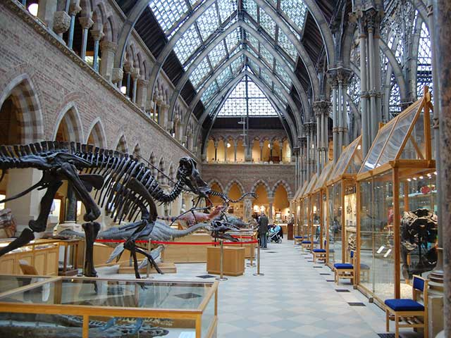 Museum of Natural History