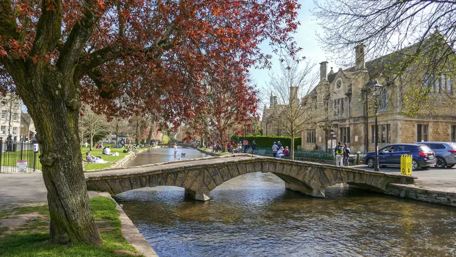 A bridge over a stream with a tree in autumn