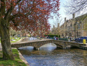 A bridge over a stream with a tree in autumn
